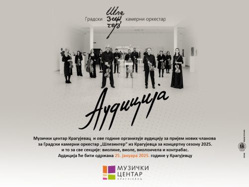 BANER-SAJT-Audicija-Slezinger-2024 copy